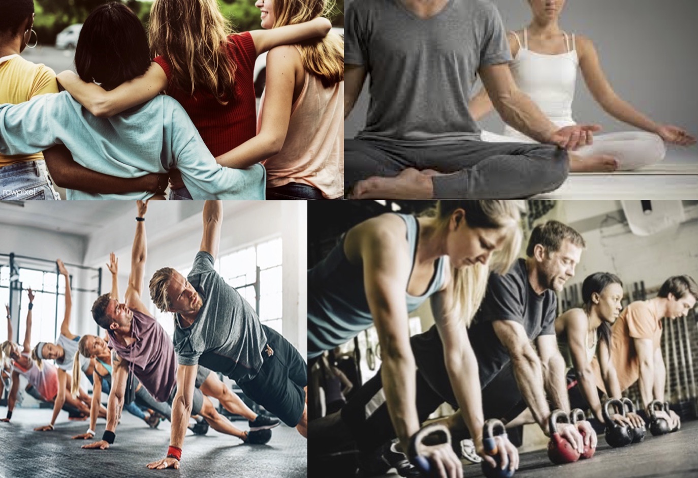 semi-private fitness, yoga, lifestyle therapy, small group personal training