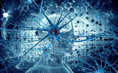 Help for Your Head — Healing Brain Injury